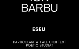 Ion Barbu Eseu Bacalaureat